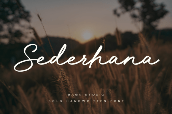 Sederhana: A Font That Captures Nature's Calm