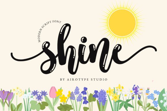Shine Font: Bouncy, Bold Script for Modern Design