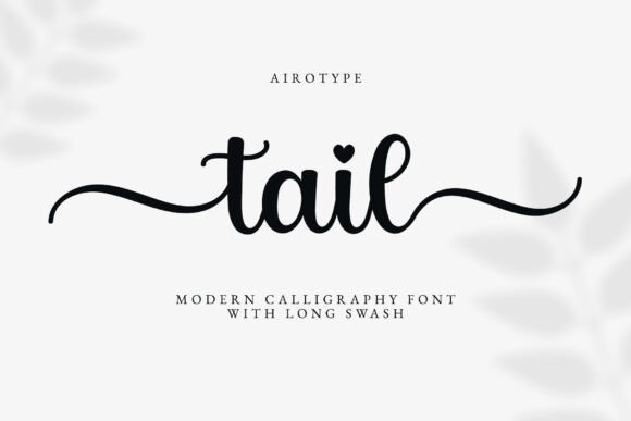 Tail: The Script Calligraphy Font with Elegant Swashes